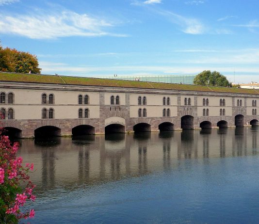 Viaggi straordinari. Lucio Turchetta a Strasburgo