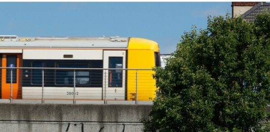 Scimmie, elefanti, stambecchi, lupi, lo zoo di Banksy conquista una Londra sotto assedio