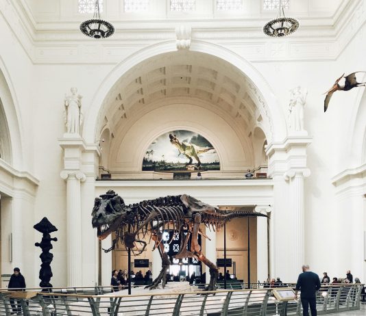 L’ICOM lancia un premio internazionale per la sostenibilità nei musei