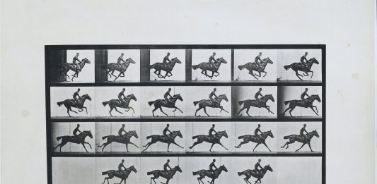 Stop-Motion, i pionieri della fotografia in mostra al Rijksmuseum di Amsterdam Bouquet’, Galloping, Eadweard Muybridge, 1887. Collection Rijksmuseum