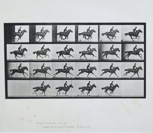 Stop-Motion, i pionieri della fotografia in mostra al Rijksmuseum di Amsterdam Bouquet’, Galloping, Eadweard Muybridge, 1887. Collection Rijksmuseum