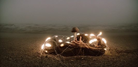 UMWELT: sperimentazioni tra arte e tecnoscienza in mostra alla Fondazione Modena Arti Visive