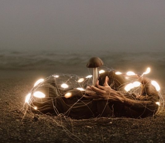 UMWELT: sperimentazioni tra arte e tecnoscienza in mostra alla Fondazione Modena Arti Visive