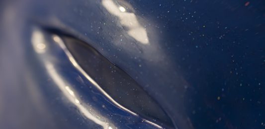 Gabriella Siciliano, nostalgia del futuro: la mostra da Made in Cloister, Napoli Gabriella Siciliano, La casa di Wendy, veduta della mostra, Made in Cloister, Napoli, 2024. Ph. Maddalena Tartaro