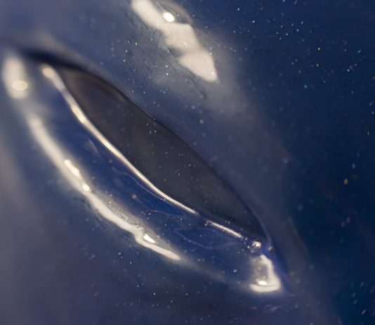 Gabriella Siciliano, nostalgia del futuro: la mostra da Made in Cloister, Napoli Gabriella Siciliano, La casa di Wendy, veduta della mostra, Made in Cloister, Napoli, 2024. Ph. Maddalena Tartaro