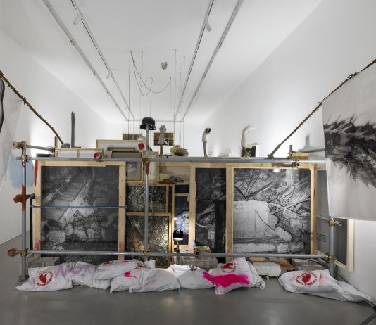 Sàlvati Salvàti. Jacopo Benassi in mostra da Francesca Minini