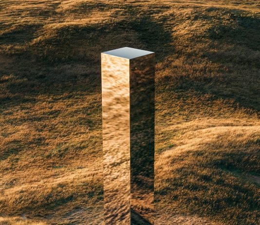 Roma, da AlbumArte tre installazioni per esplorare natura, tecnologia e cultura