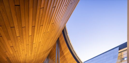 Kengo Kuma ridisegna il CAM di Lisbona: arte, natura e architettura