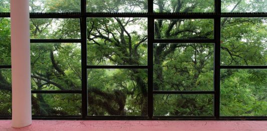 La Biennale di San Paolo per la prima volta in Africa: tappa a Luanda