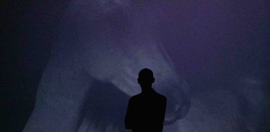 XNL Arte presenta LE NUOVE MOSTRE