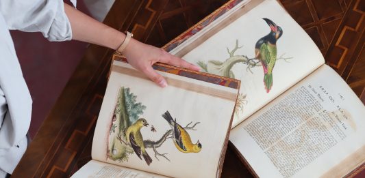 Voyage pittoresque: Il Ponte mette all’asta libri antichi e d’artista