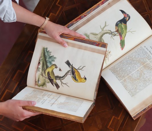 Voyage pittoresque: Il Ponte mette all’asta libri antichi e d’artista