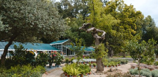 Reggia di Caserta, le Serre di Graefer riaprono al pubblico dopo otto anni Le Serre di Graefer, esterno, Reggia di Caserta, 2024