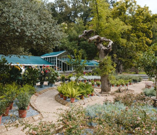 Reggia di Caserta, le Serre di Graefer riaprono al pubblico dopo otto anni Le Serre di Graefer, esterno, Reggia di Caserta, 2024