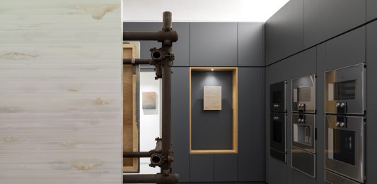 Le Metamorforsi di Stefano Cescon in divenire a Roma