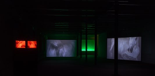 In città e nei borghi limitrofi, a Piacenza XNL Aperto è sempre più contemporaneo, unito e diffuso