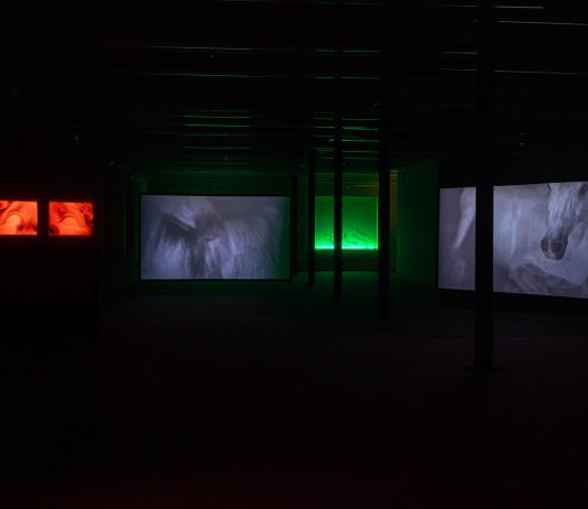 In città e nei borghi limitrofi, a Piacenza XNL Aperto è sempre più contemporaneo, unito e diffuso