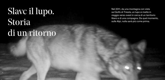 L’altro lato delle Alpi, da scoprire con le pubblicazioni di The Passenger Le Alpi, collana The Passenger, Iperborea, 2024