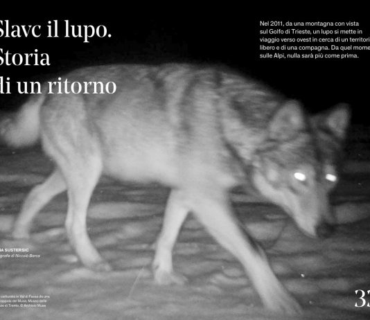 L’altro lato delle Alpi, da scoprire con le pubblicazioni di The Passenger Le Alpi, collana The Passenger, Iperborea, 2024