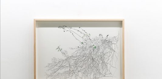 Il grande è fatto del piccolo: la mostra di Lise Duclaux alla Casa di Raffaello a Urbino