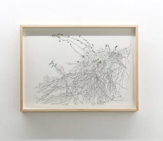 Il grande è fatto del piccolo: la mostra di Lise Duclaux alla Casa di Raffaello a Urbino