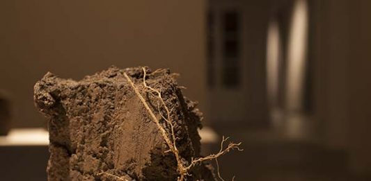 Federico Gori DEVENĪRE fino al al 9 novembre 2024, Habitat Ottantatrè, Verona