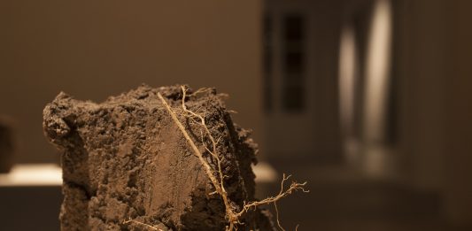 Federico Gori, le radici della trasformazione: la mostra da Habitat Ottantatré