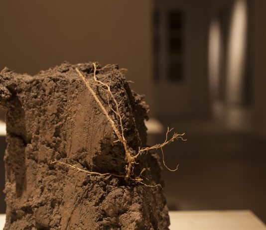 Federico Gori, le radici della trasformazione: la mostra da Habitat Ottantatré