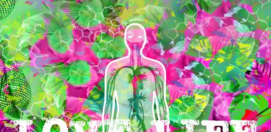 L’energia della videoarte va in mostra allo Spazio Leonardo di Milano