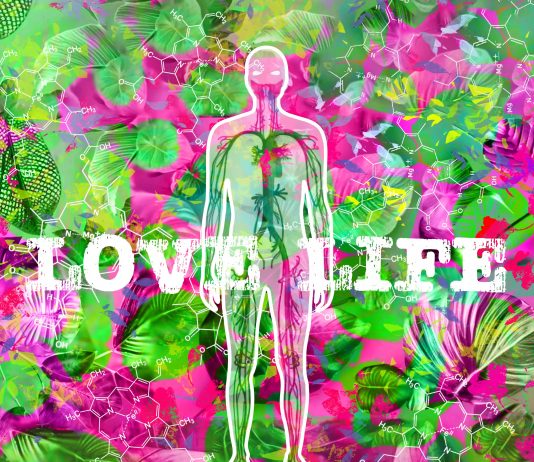 L’energia della videoarte va in mostra allo Spazio Leonardo di Milano