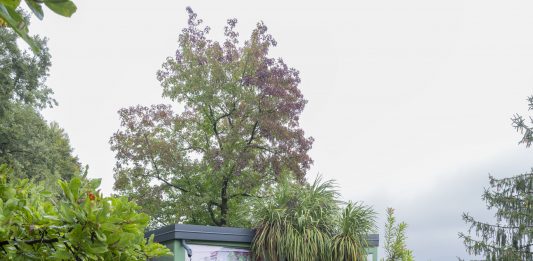 Pensare come una montagna: alla GAMeC di Bergamo il secondo appuntamento