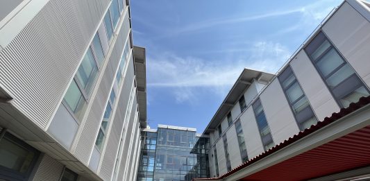 Paratissima 2024 arriva negli Uffici Snos: tutte le novità della manifestazione