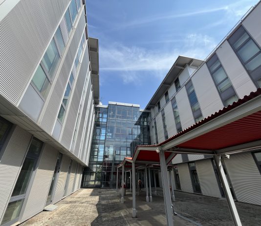 Paratissima 2024 arriva negli Uffici Snos: tutte le novità della manifestazione