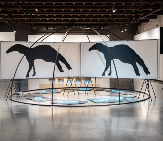 Esserci a Verona: Mario Merz. Il numero è un animale vivente