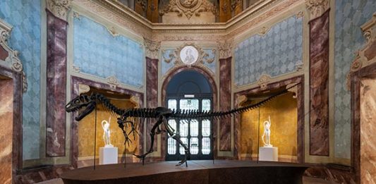 NATURALE INNATURALE. DINOSAURI E ALTRE CREATURE La mostra a Modena di Fondazione AGO tra arte e scienza