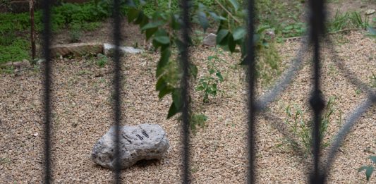 A Caltanissetta due opere site specific per parlare del rapporto tra uomo e natura