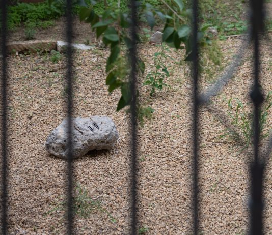 A Caltanissetta due opere site specific per parlare del rapporto tra uomo e natura