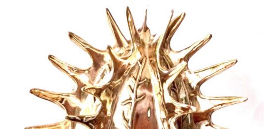 Inaugurazione della Mostra Temporanea “BIOFILIA ”