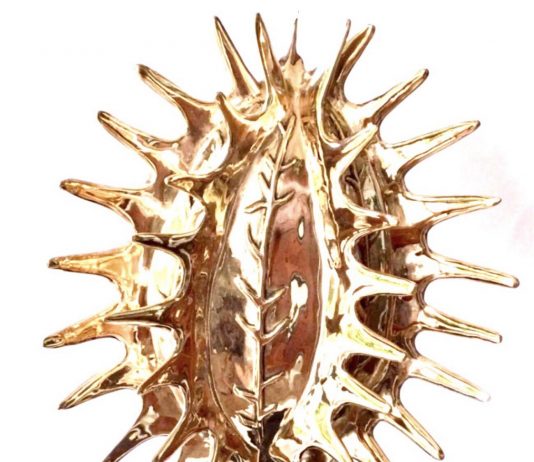 Inaugurazione della Mostra Temporanea “BIOFILIA ”