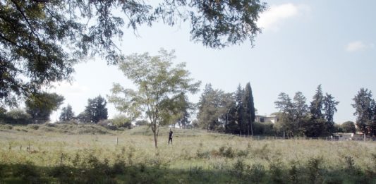 “Siris”, il progetto di valorizzazione per il Parco Archeologico di Herakleia di Policoro