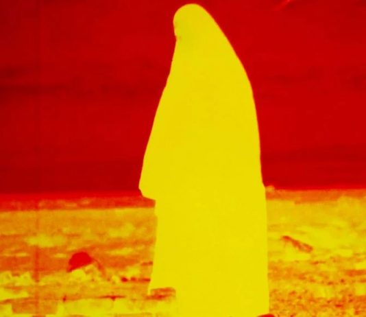 Visio: il nuovo volume sull’immagine in movimento, dal 2010 a oggi