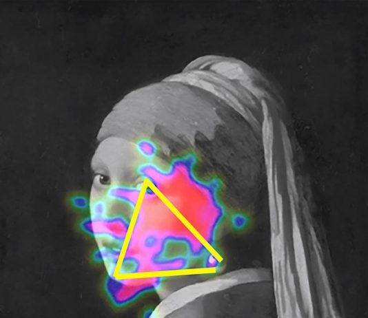 Vedere le opere dal vivo stimola il cervello: i risultati della ricerca di un museo olandese