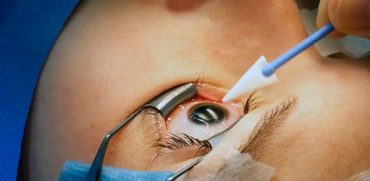 Agnes Questionmark Nexaris Suite dal 23 novembre 2024 al 13 aprile 2025 alla Tenuta Dello Scompiglio a Vorno, Capannori (Lucca)