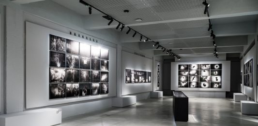 “Antonio Biasiucci. Arca” in mostra a Torino