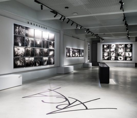 “Antonio Biasiucci. Arca” in mostra a Torino