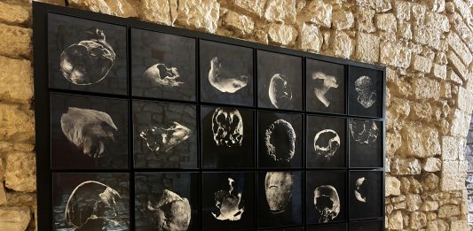 Cornerstones, visioni d’arte contemporanea in mostra al Castello di Barletta Cornerstones mostra castello barletta