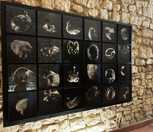 Cornerstones, visioni d’arte contemporanea in mostra al Castello di Barletta Cornerstones mostra castello barletta