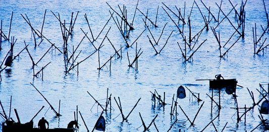 La Puglia vista da 12 grandi fotografi: la mostra alla Fondazione Biscozzi Rimbaud di Lecce