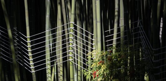 Giorgio Griffa, pittura in natura: due mostre a Torino e al Castello di Miradolo