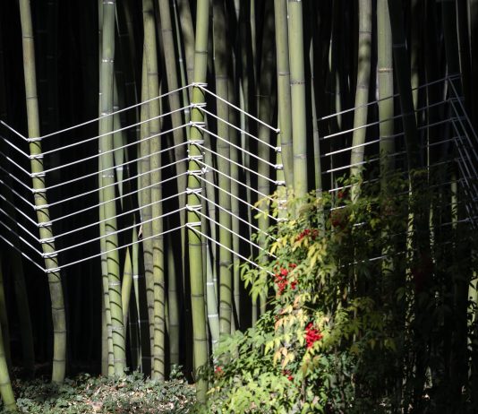 Giorgio Griffa, pittura in natura: due mostre a Torino e al Castello di Miradolo